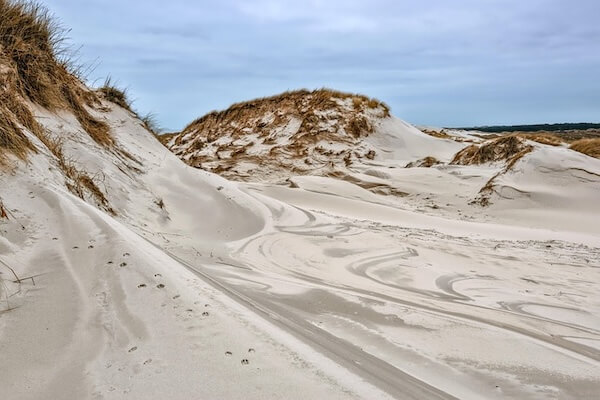 Exciting things to do in Cronulla